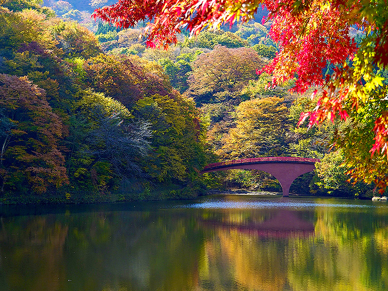 碓氷峠】紅葉が包む、幻のアプト式廃線跡へ！日本初の重文・近代化遺産