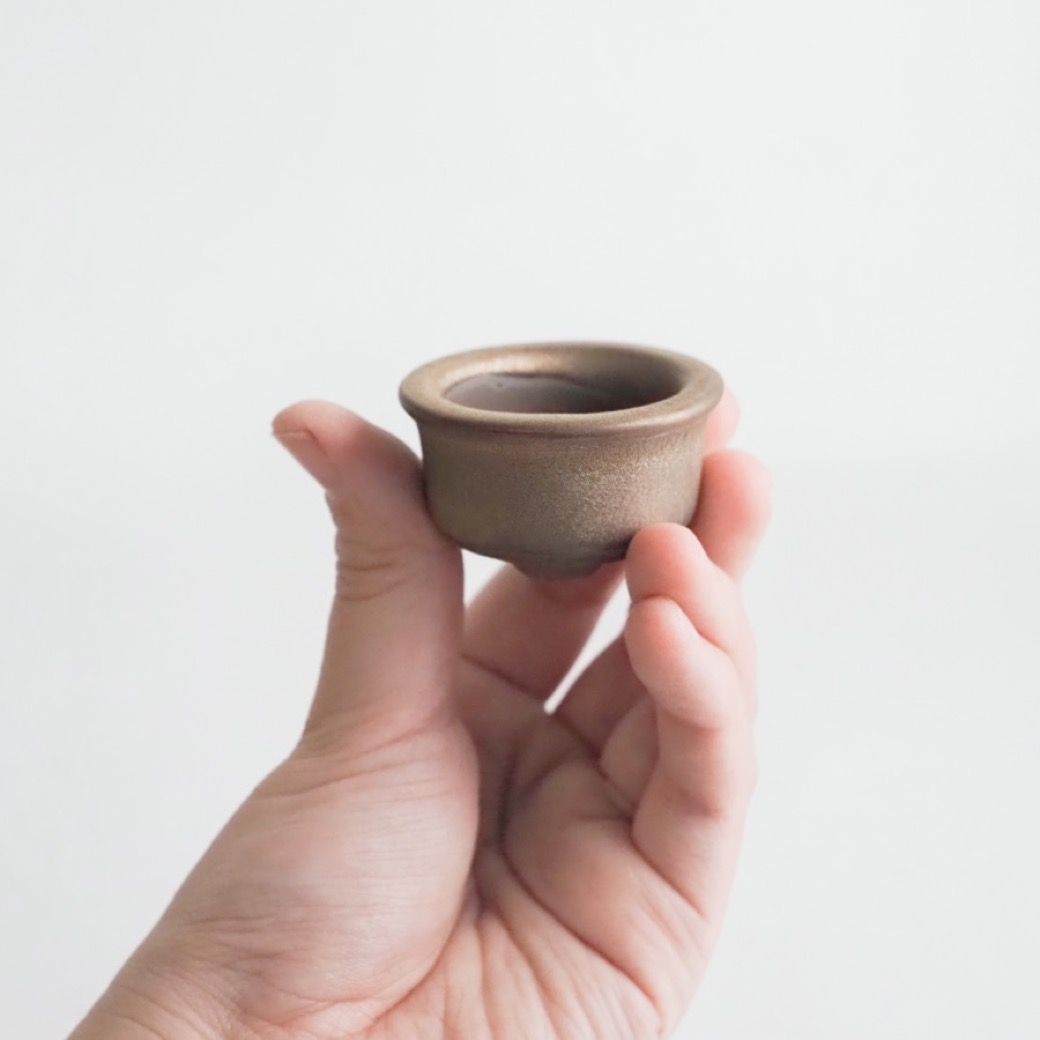 ミニ盆栽鉢 | m.m.d.（エムエムディー） | 開業・開店祝い、結婚祝い