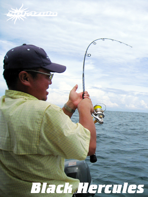 マングローブスタジオ　Black Hercules 7955S Mangrove Studio > Black Hercules /LMG