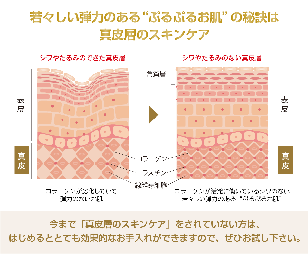 FGF-1リペアエッセンスゴールド｜マリスローレン