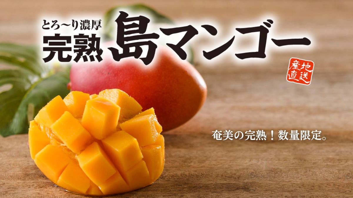 完熟 島マンゴー】鹿児島県・奄美大島の太陽と海が育んだ国産マンゴー
