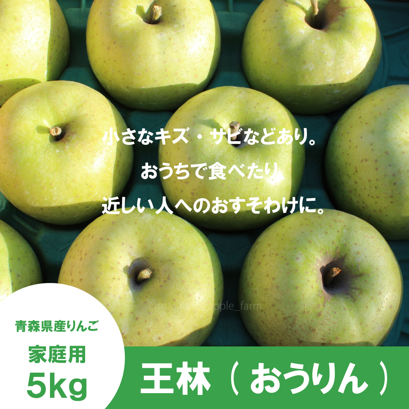 王林【家庭用5kg】｜まさひろ林檎園