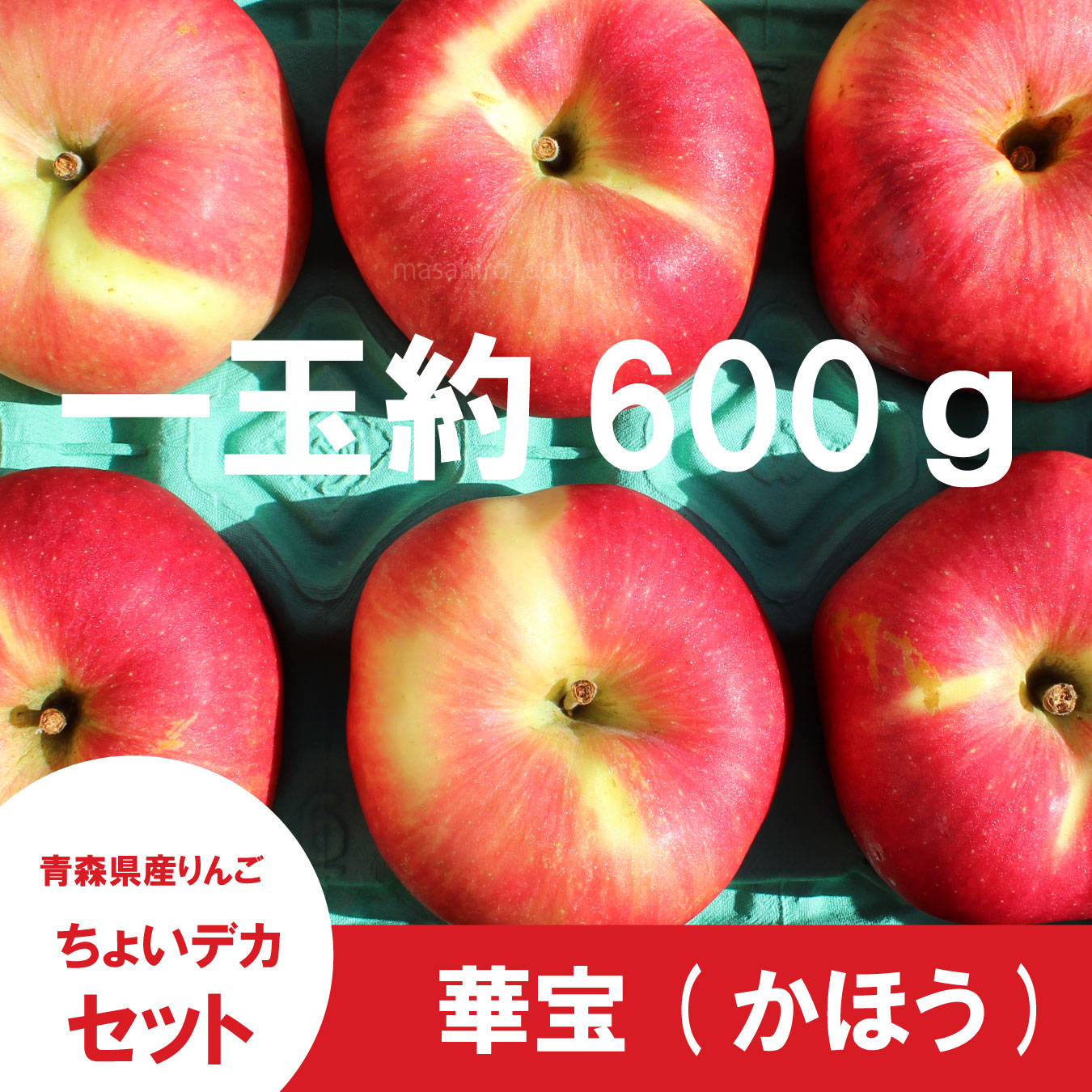華宝【家庭用3kg】｜まさひろ林檎園