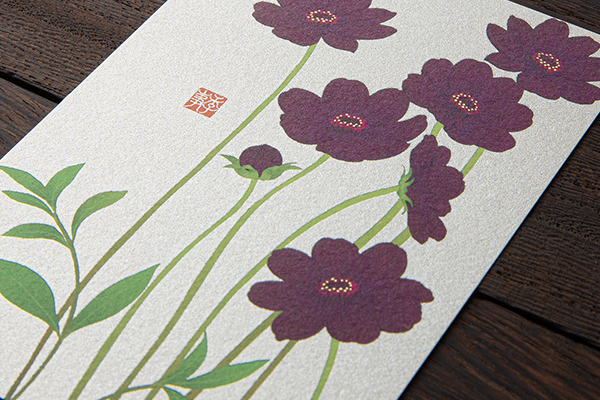 ハガキ/ポストカード｜紙シリーズ｜ポストカード チョコレートコスモス