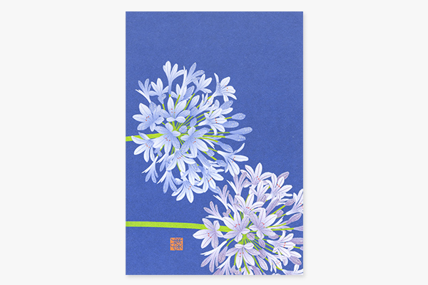 ハガキ/ポストカード｜紙シリーズ｜ポストカード アガパンサス柄