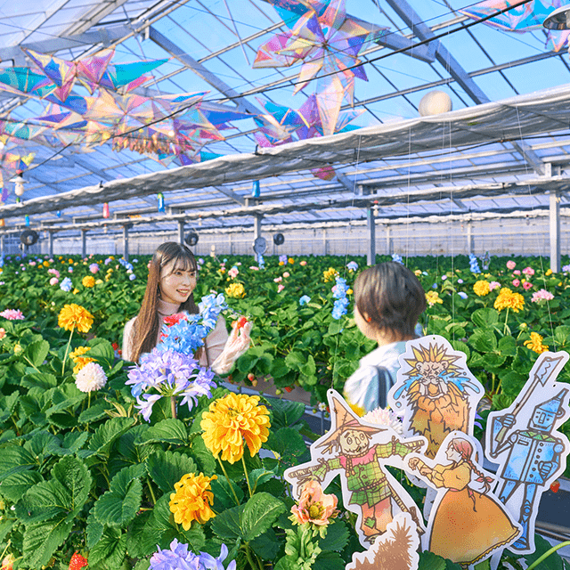 オズの国のストロベリーハント2023 - 京成バラ園 - Keisei Rose Garden