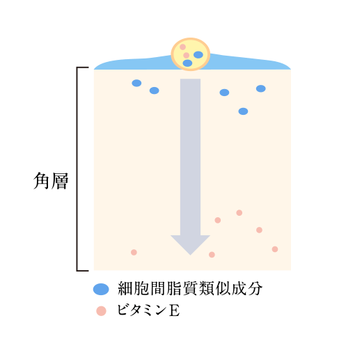 ラフェリーナ｜スキンケア｜保湿スキンケア、アンチエイジング、化粧品