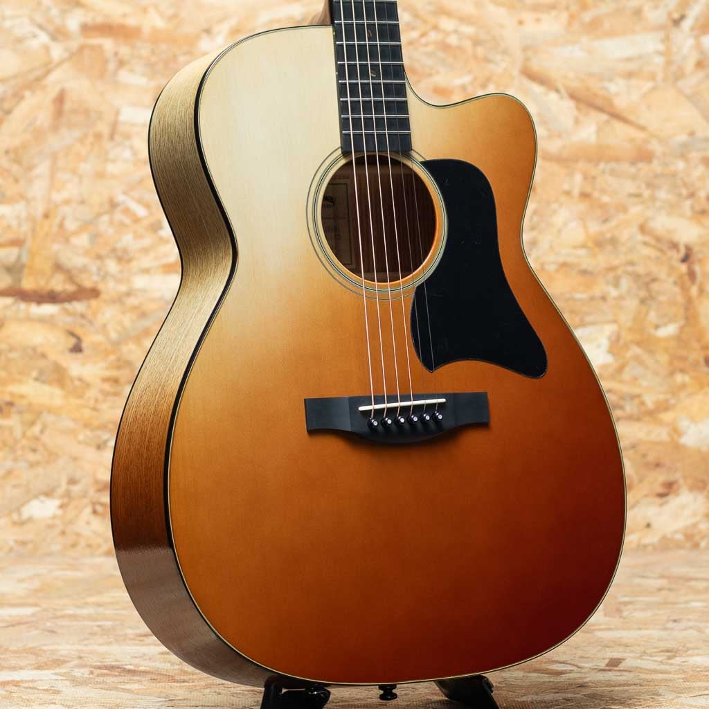 アコースティックギター国内ブランド | 三木楽器公式通販サイト(並び順