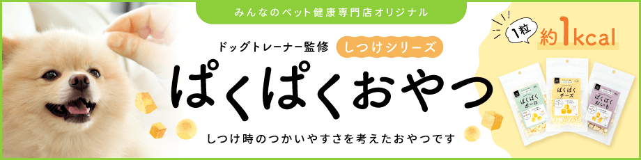 犬の基本のしつけ！ オスワリ・マテ・フセなどの教え方【トレーナー