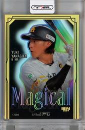 ミントモール / MINT 千葉店 / BBM 福岡ソフトバンクホークス 2024