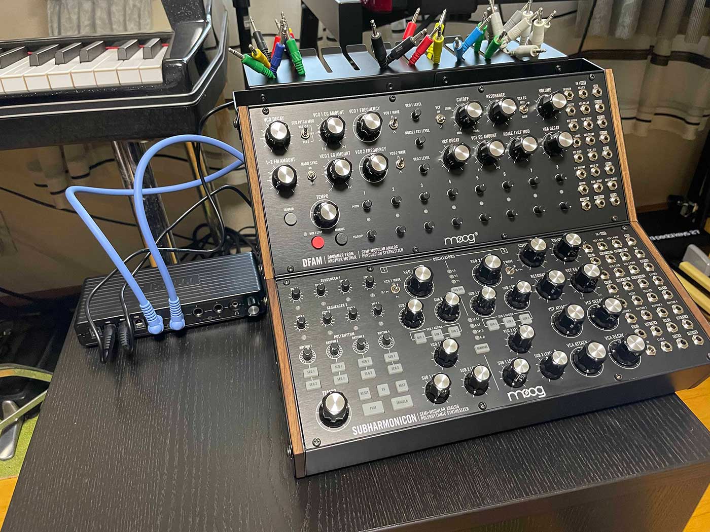 Moog Sound Studio開封レビュー＆演奏動画！ by村上 | Rock oN Company