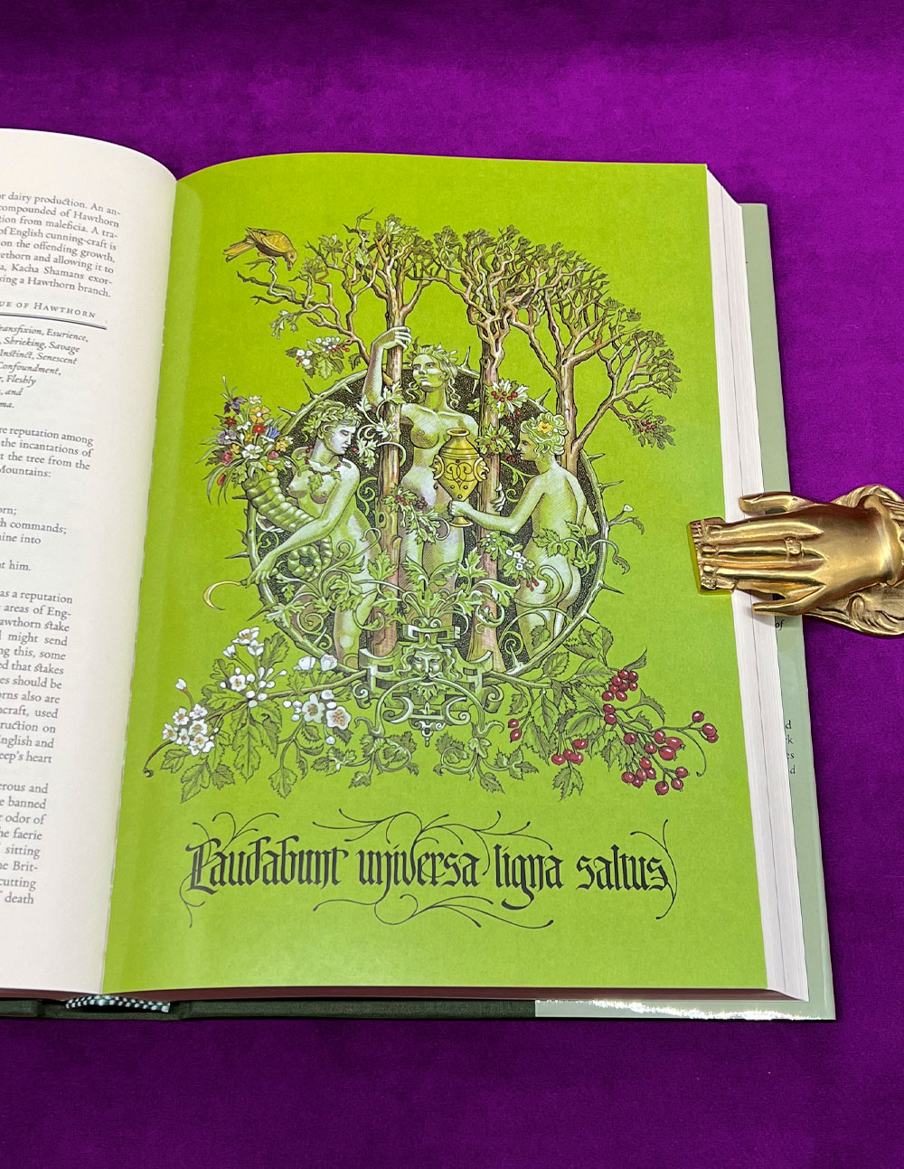 THE GREEN MYSTERIES by Daniel A. Schulke - Miskatonic Books