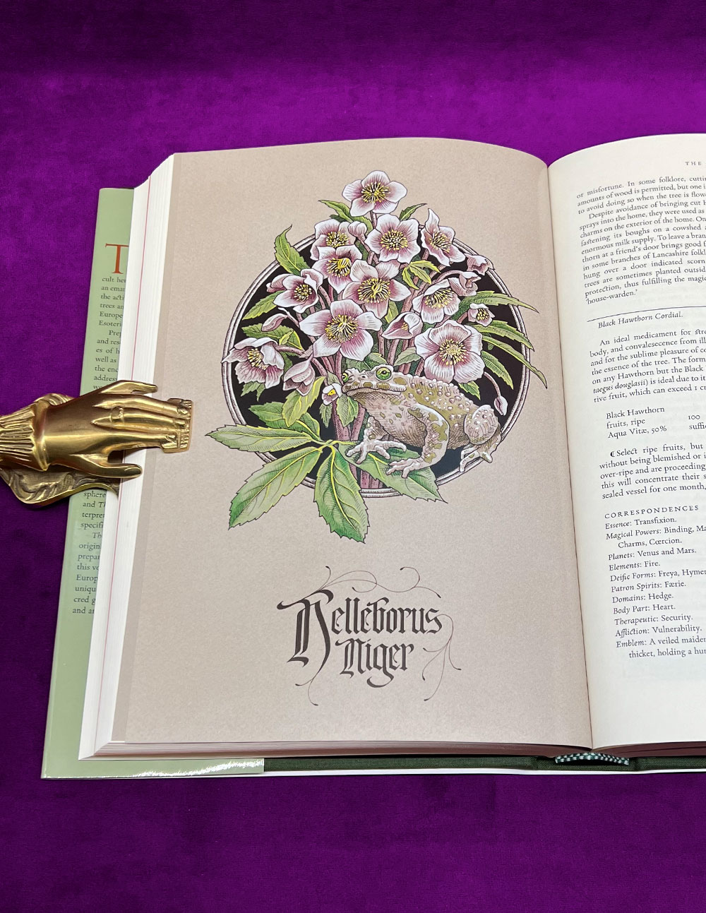 THE GREEN MYSTERIES Arcana Viridia: An Occult Herbarium by Daniel
