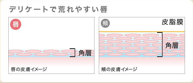LIPLU（リップル） | BRANDS（ブランド一覧） | 株式会社MTG