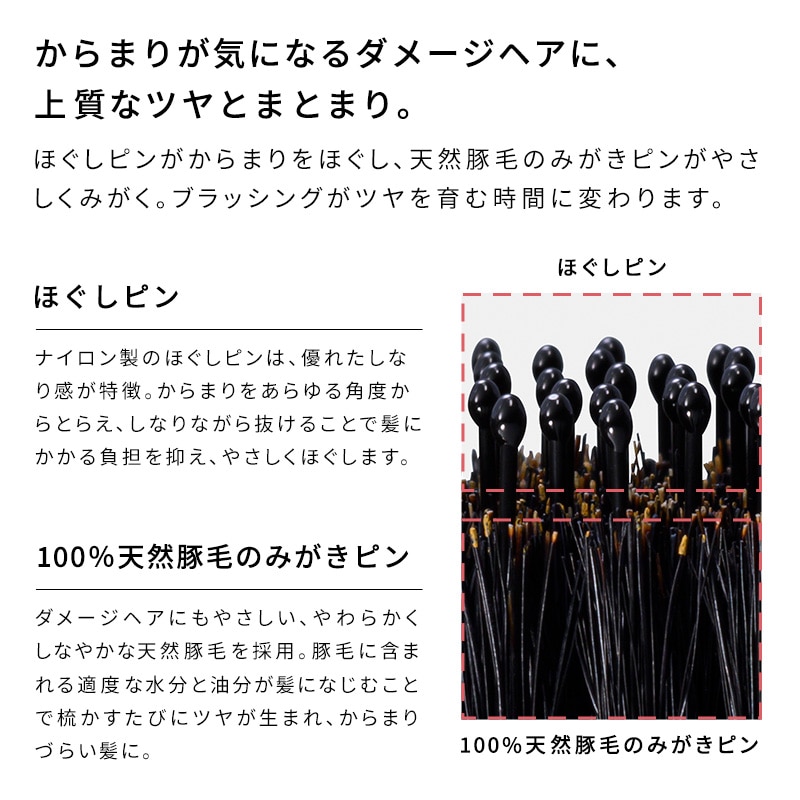 ReFaギフトラッピングセット S】リファエールブラシレイ（天然豚毛