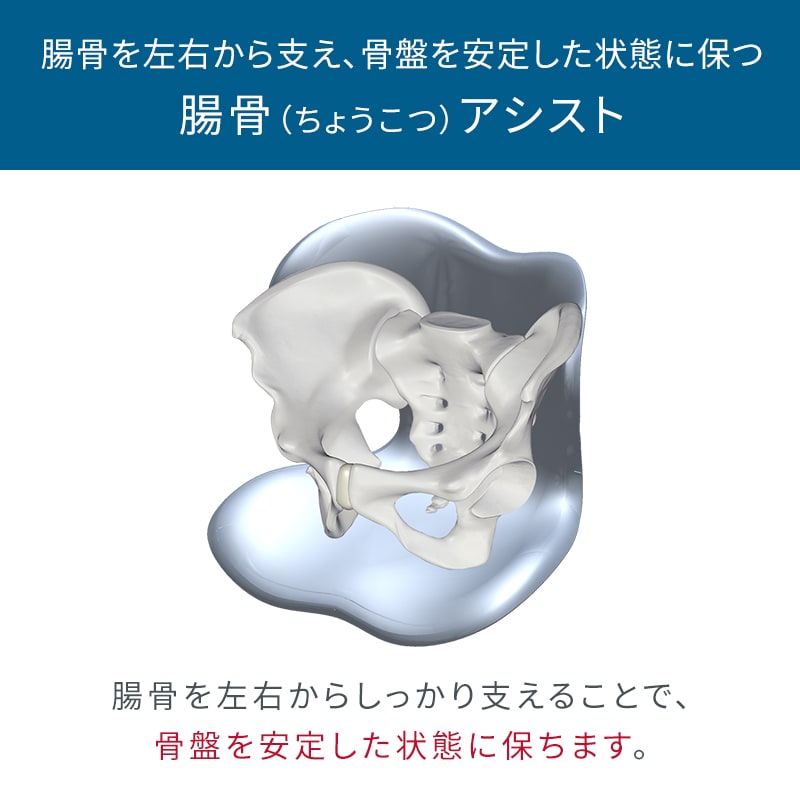 姿勢 骨盤 テレワーク】スタイルスマート（Style SMART） | MTG ONLINESHOP