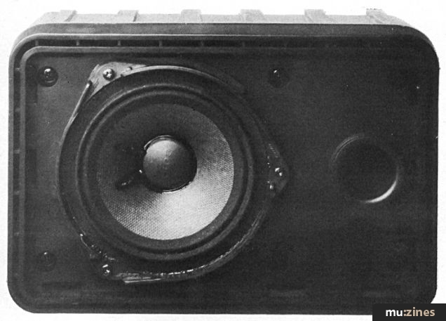 Bose 101 Mini Monitors (HSR Aug 84)