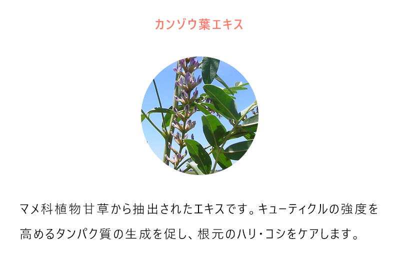 定期購入》MUKII THE serum shampoo＆treatment《serum シャンプー