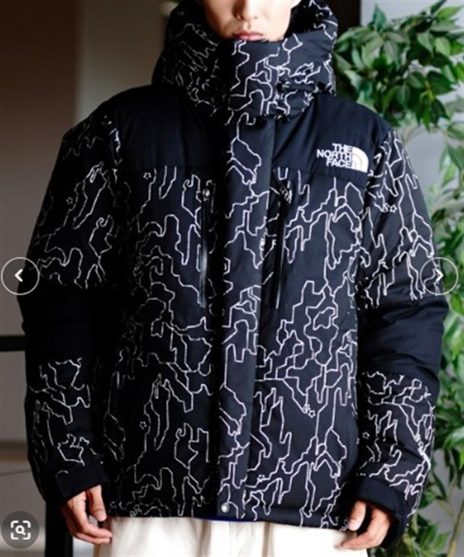 THE NORTH FACE ザ・ノース・フェイス アウター ダウン メンズ