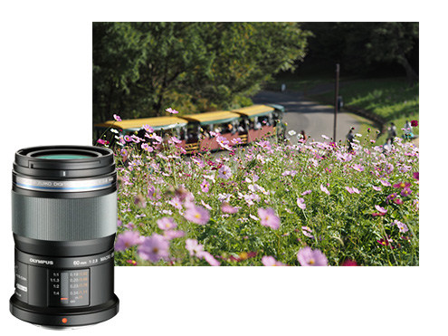 単焦点レンズの素晴らしき世界 - OLYMPUS M.ZUIKO PREMIUM LENS