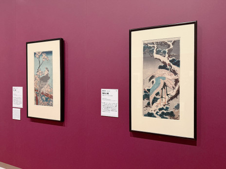 ジョルジョ・モランディ ―終わりなき変奏― | 展覧会 | アイエム