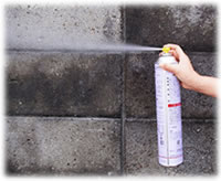 虫退治ドットコム / ハチダウン 730ml + ハチローFH [蜂の巣駆除 高所