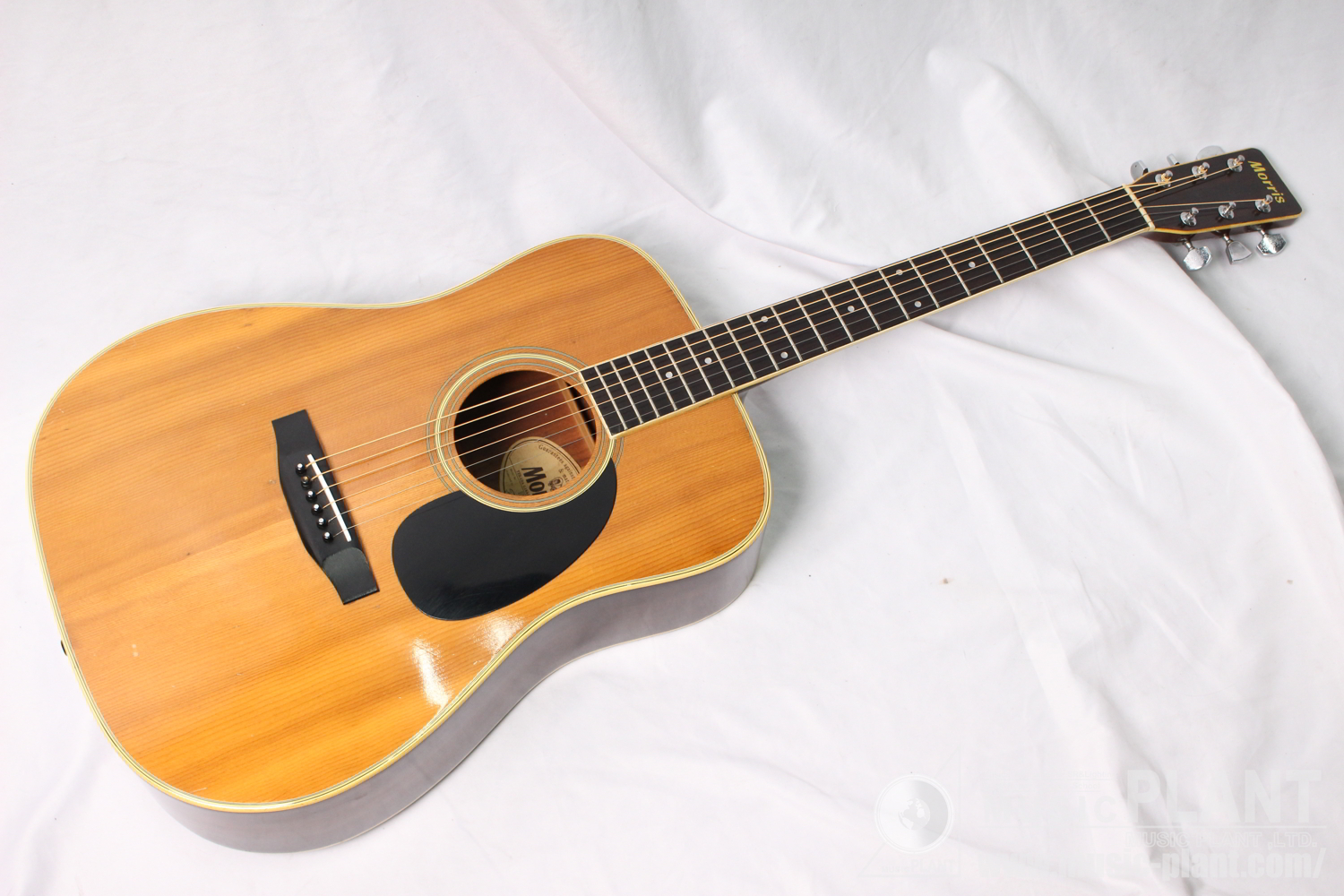 Morris アコースティックギターFW-20 Natural中古()売却済みです