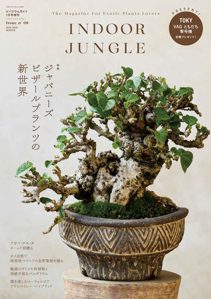 INDOOR JUNGLE Issue.08 ｜ エムピージェー