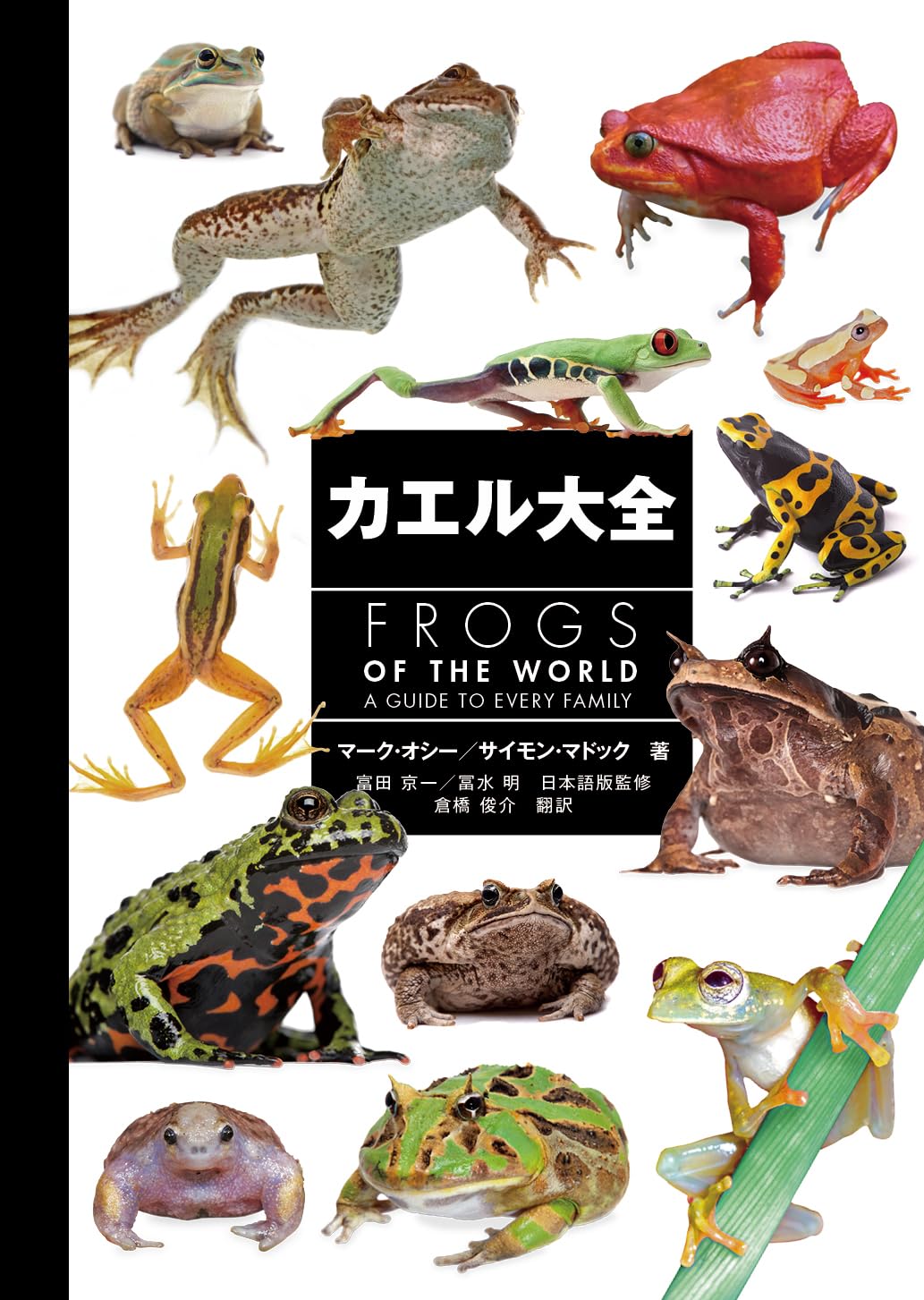 カエル大全 FROGS OF THE WORLD ｜ エムピージェー