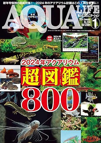 AQUA LIFE 2020年5月号・11月号 アクアライフ 12月号 (発売日2024年11