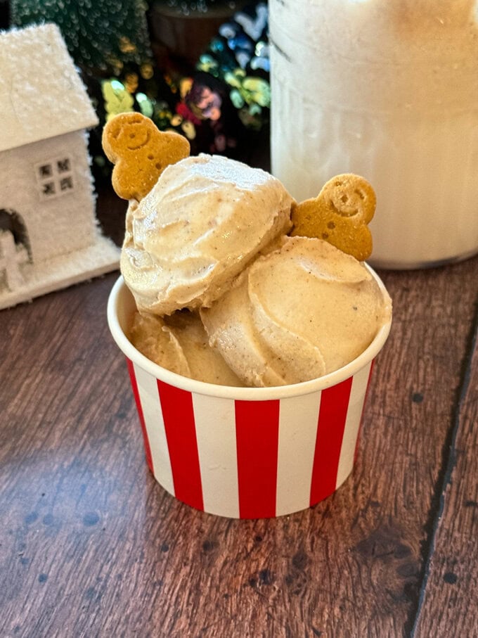 Ninja Creami Gingerbread Ice Cream - Christmas Recipe