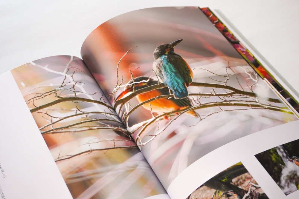 写真集「兼六園の鳥たち」｜二木宏治 様