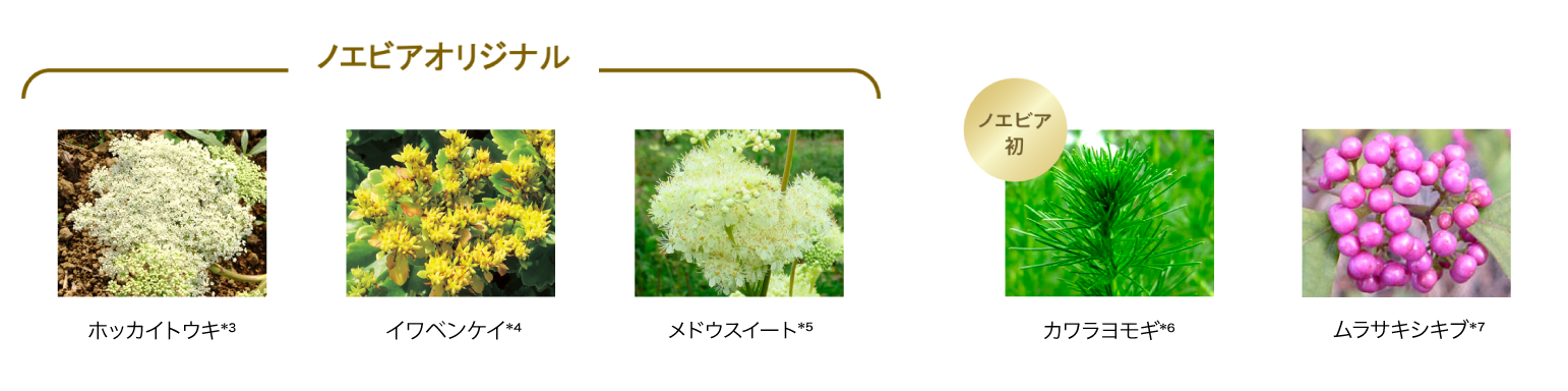 ゴールデンシルクエキス配合。ひとつ上の艶やかでなめらかな肌へと導く