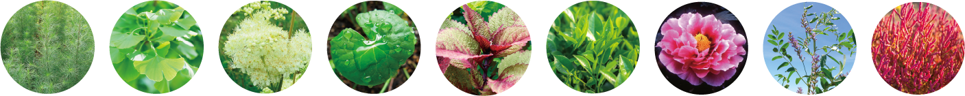 最高峰スキンケアシリーズ「スペチアーレ」より、ノエビアで最も多くの