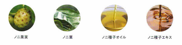 テマナ｜タヒチアンノニジュース通販店 - ノニファミリー