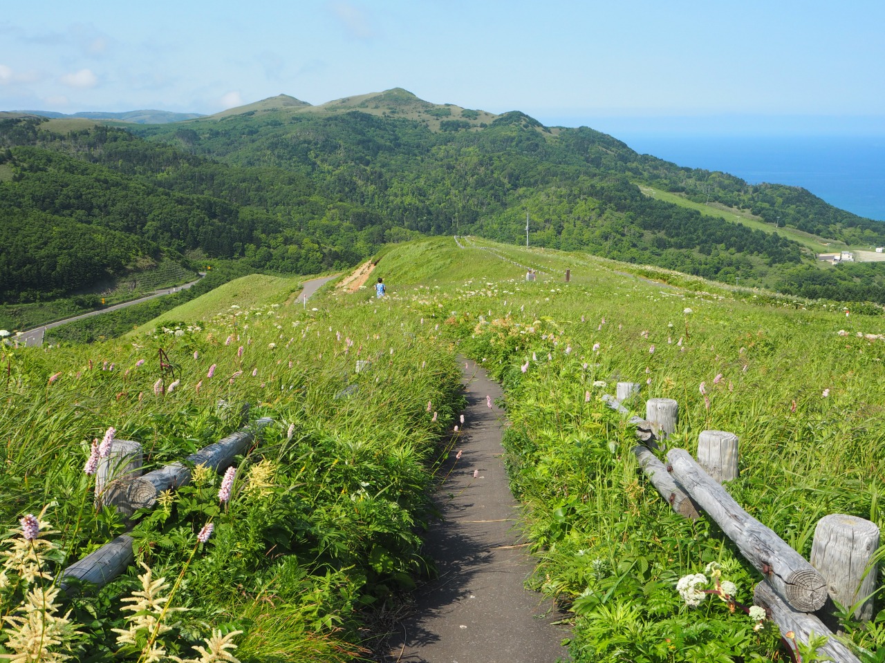 桃岩展望台｜観光スポット｜【公式】きた・北海道/稚内・利尻・礼文の