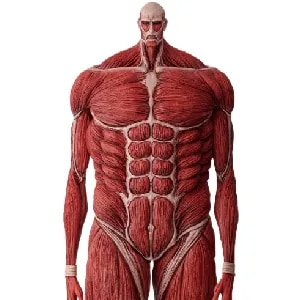 買取】ラストワン賞 超大型巨人 MEGAIMPACT 一番くじ 進撃の巨人 ～獣