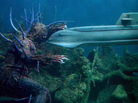 原潜シービュー号/海底科学作戦 DVD COLLECTOR'S BOX Vol.3 