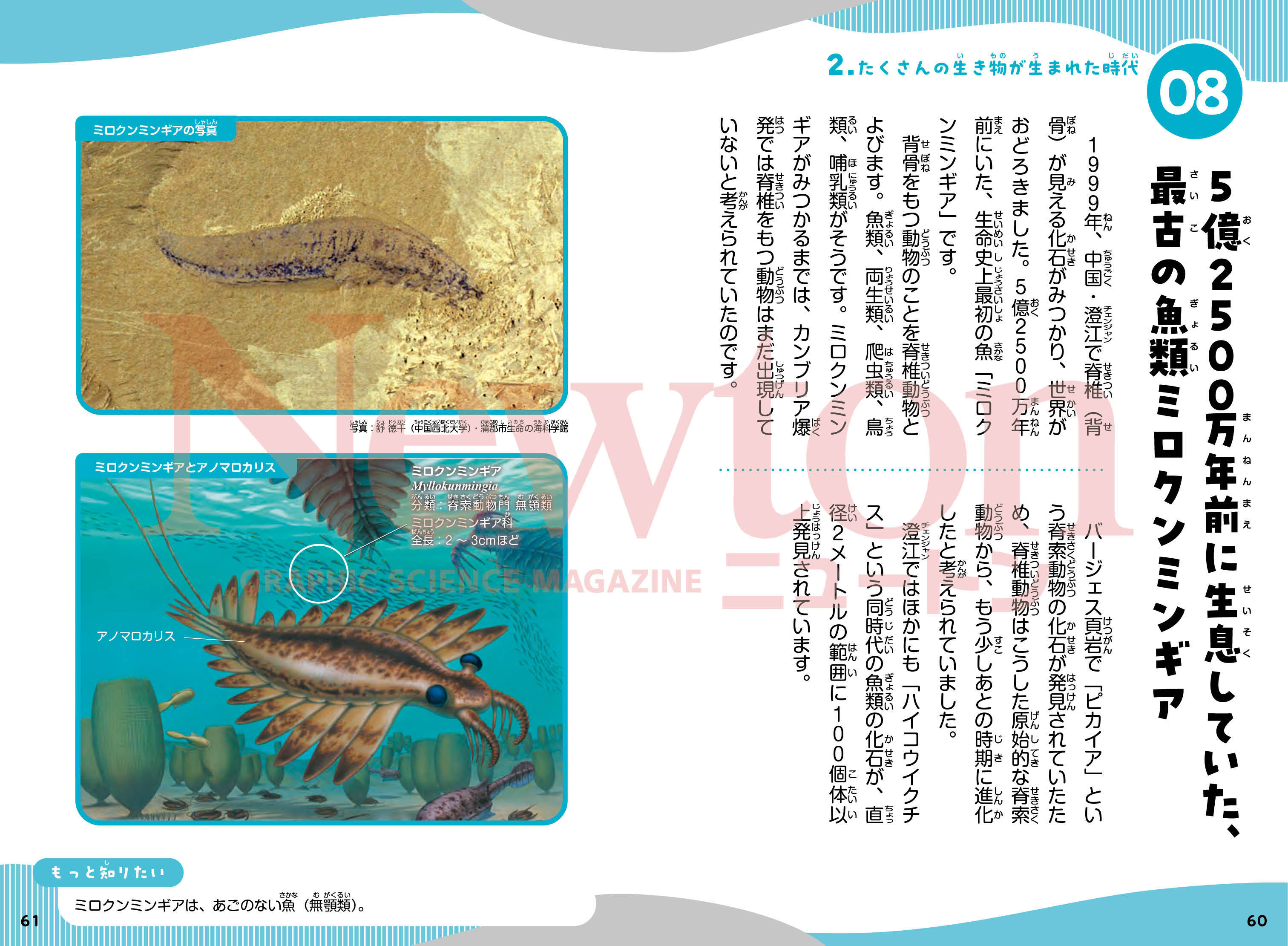 ニュートン科学の学校シリーズ 古生物の学校 | ニュートンプレス