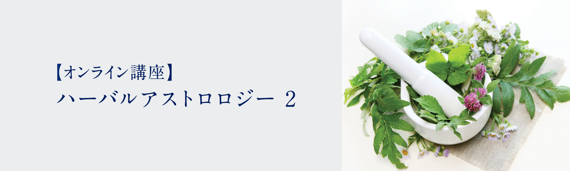 ハーバルアストロロジー 2 | アロマとハーブと占星術 | ホリ