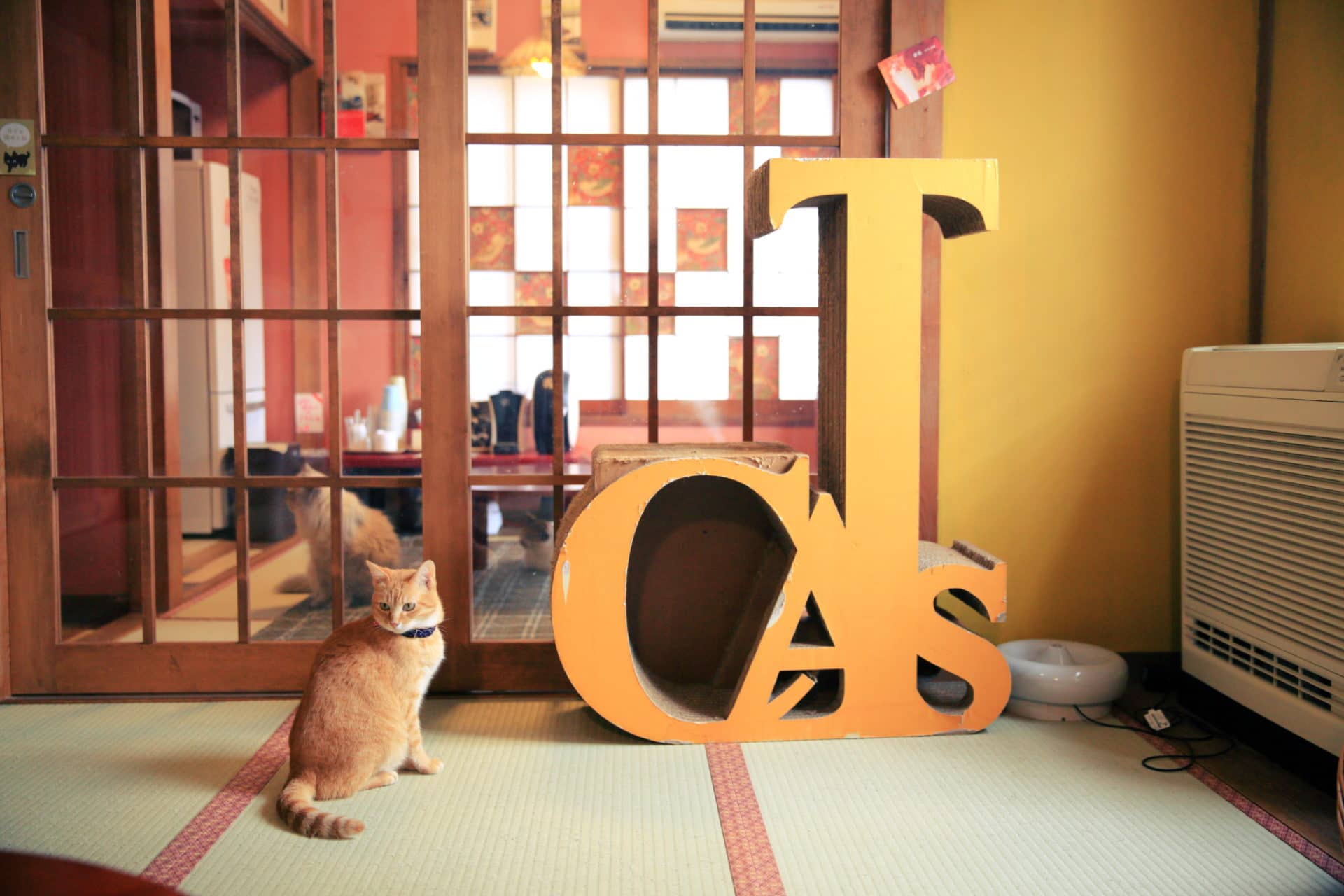 ネコリパブリック東京谷中 しにものぐるい店 | ネコリパブリック｜日本