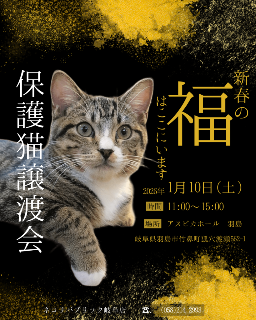 新春の福はここにいます。2026年最初の保護猫譲渡会 ＠アスピカホール