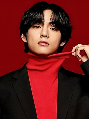 BTS BTS テヒョン テヒョン 公式うちわセット BTS テテ V うちわセット