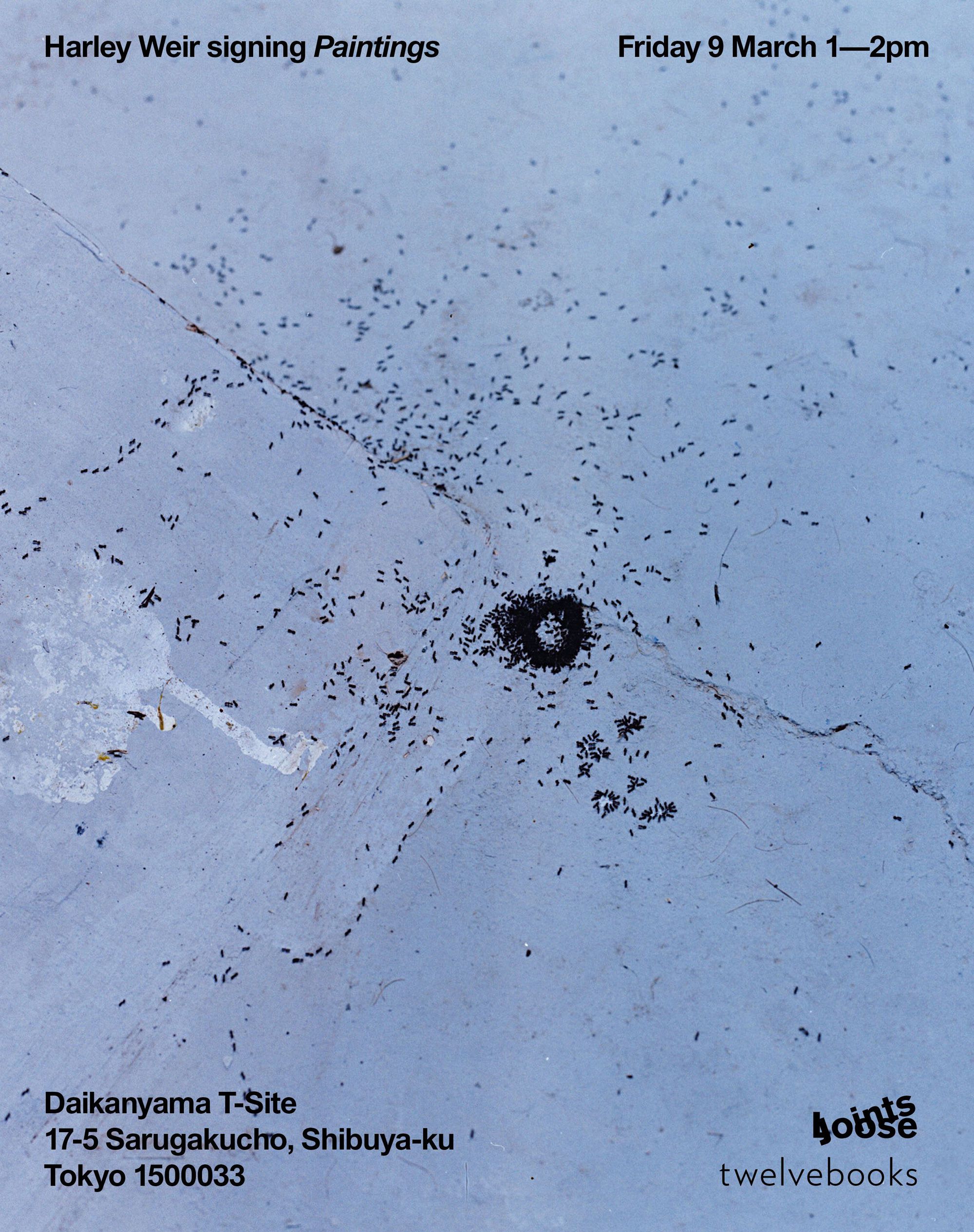 3年間一貫して撮り続けた表層、表面への追求を形に。ハーレー