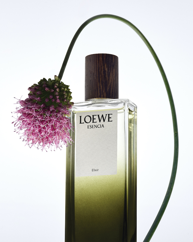 自然からインスパイアされた、強く新しい香り― LOEWE Elixirs（ロエベ
