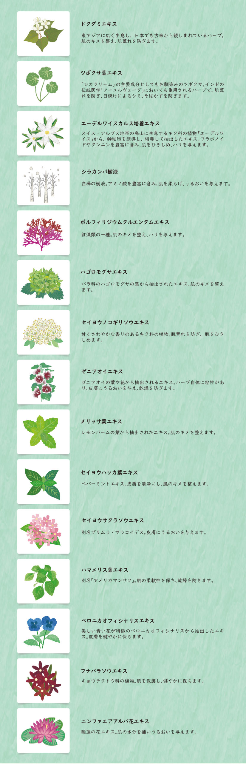 CuDePe Bubble Essence / クーディーピーバブルエッセンス | 株式会社