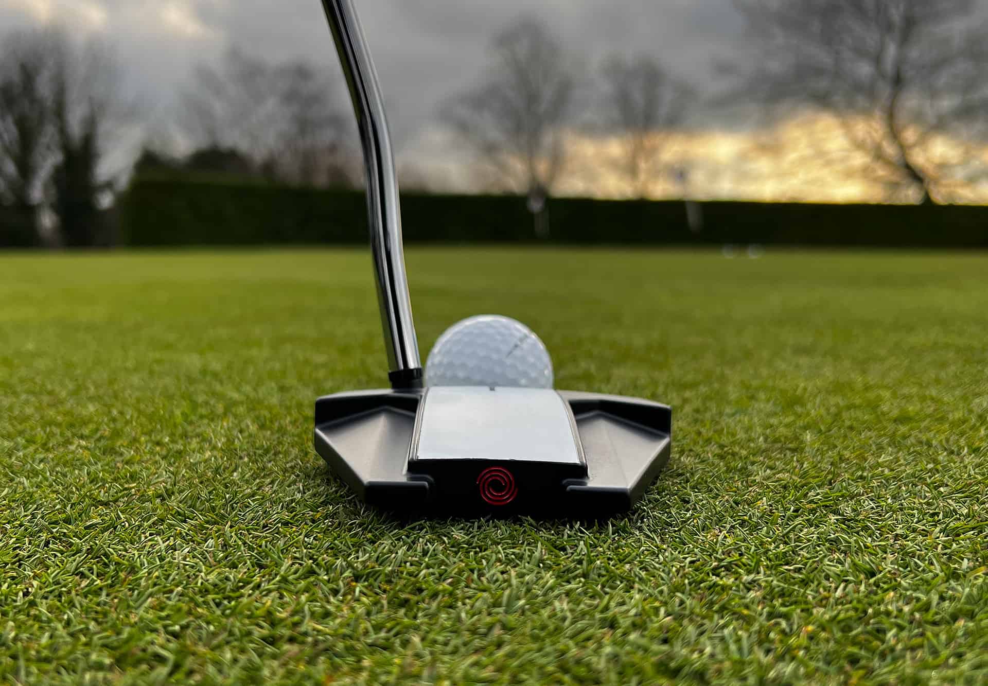 Odyssey White Hot Versa Twelve Putter Review - National Club