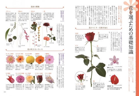 飾る・贈る・楽しむ 花屋さんの花事典 | ナツメ社