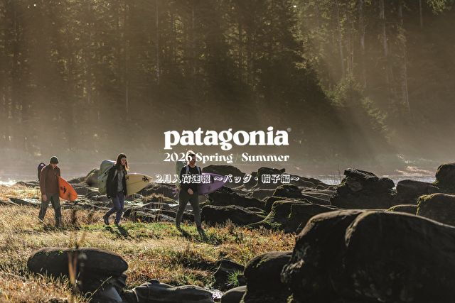 デプス(Deps) サイドワインダー HGC-66XF ヴェノムファング 10th LTD