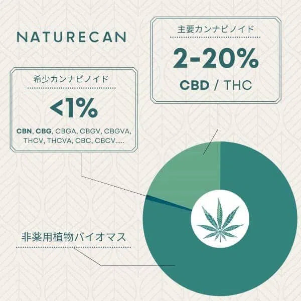 40% 【CBN】オイル | Naturecan ネイチャーカン | 1000mg CBN+3000mg